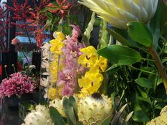 -双季花艺园艺市场(浦东店)
