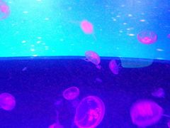 -正佳极地海洋世界
