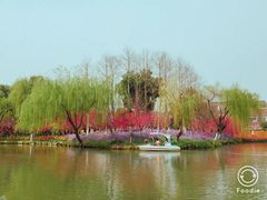 -圩墩遗址公园