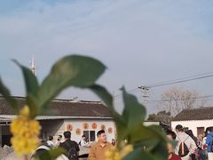 -苏州市吴中区光福窑上花果蜜饯厂