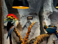 -Zoolung Zoolung动物主题公园(海信广场店)