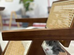 -seeu coffee(江滩店)