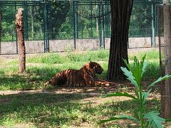 -秦皇岛野生动物园