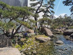 -麦当劳(杨林得来速店)