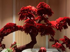 -东吴水韵(吴中店)