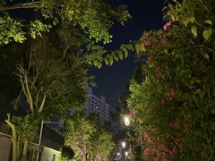 -铁路文化公园