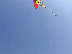 -洨河生态公园