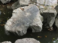 -汇龙潭