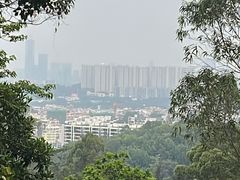 -火炉山森林公园