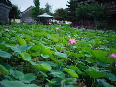 -万源龙顺度假庄园生态观光园