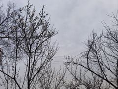 -嘉北郊野公园