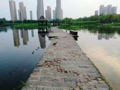-前关湿地公园