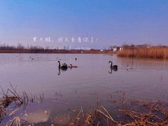 -青岛银沙滩