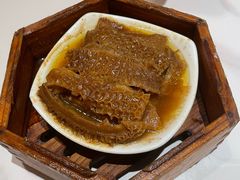 咖喱皇金钱肚-粤食堂(天津和悦汇店)