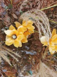 -艾米婚纱&婚礼策划