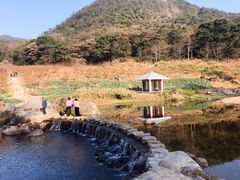 -广州市石门国家森林公园