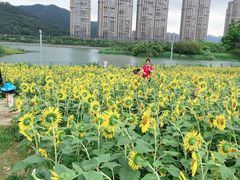 -龙江公园