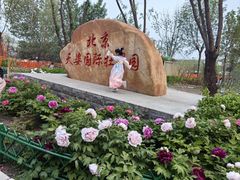 -太阳宫公园