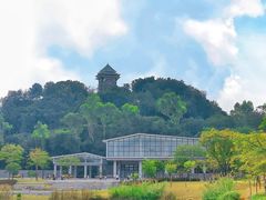 -王借岗森林公园