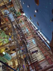 -卡通尼·Safari非洲探索乐园·生日会(金桥国际商业广场店)