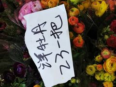 -三圣花乡旅游区