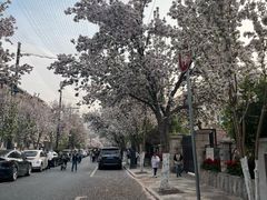 -天津五大道文化旅游区