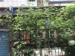 -紫藤燕语(兴澄银座店)