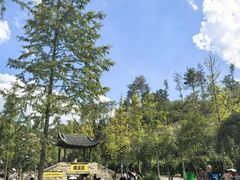 -黄陂区野村谷景区