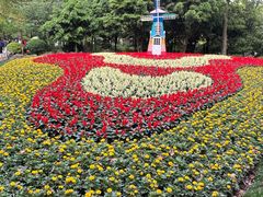 -上海共青森林公园