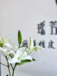 -瑶芳清颜草本祛痘