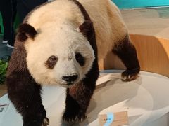 -陕西自然博物馆