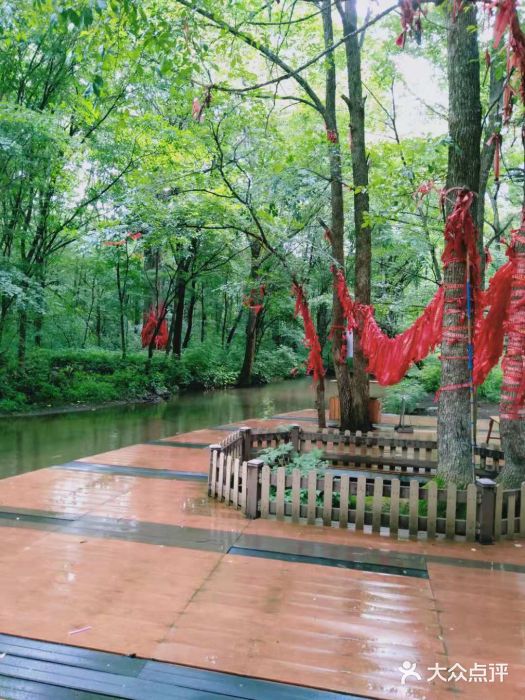 吊水壶国家森林公园图片