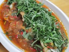 -老字号怡玺·藿香雅鱼(20年雅安店)