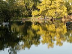 -上海共青森林公园