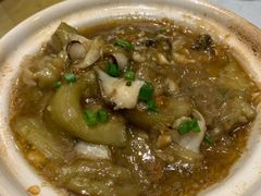 海螺炖茄子-渔娘渔家丹东海鲜(东直门店)