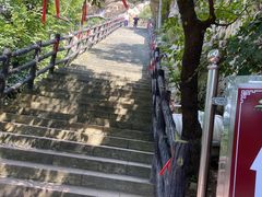 -大芦花风景区