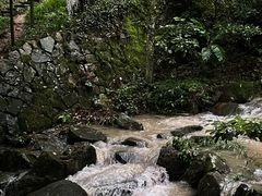 -莫干山风景区