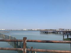 -鹅湖玫瑰文化园