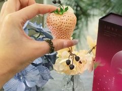 -美罗城