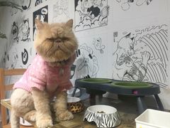 -小时光咖啡馆(开森度假森林店)