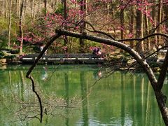 -杭州植物园
