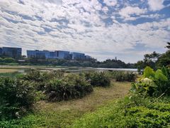 -华侨城湿地公园