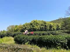 -素描餐厅(灵隐天竺店)