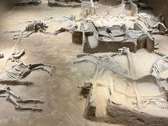 -洛阳周王城天子驾六博物馆