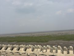 -南汇嘴观海公园