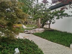 -上海滨江森林公园
