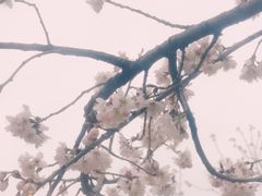 -国际非物质文化遗产博览园