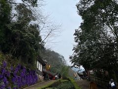 -青城山