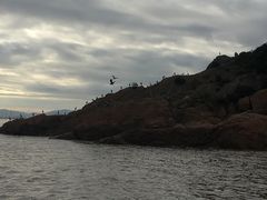 -北岐滩涂