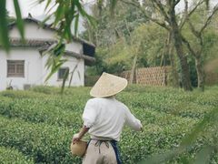-法云安缦酒店